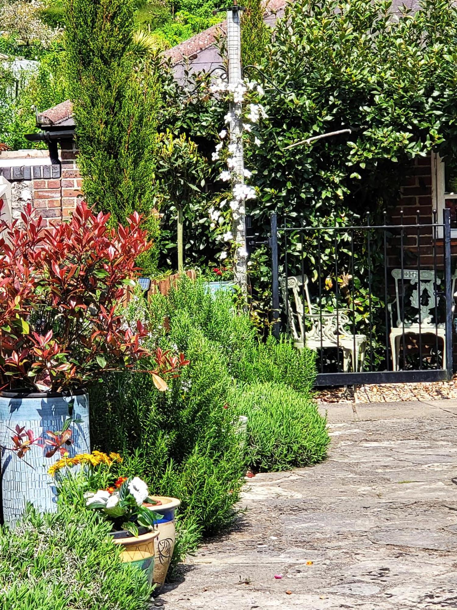Escape The Ordinary - Piddle Inn The Home Private Self Cater Holiday Dorchester Bagian luar foto